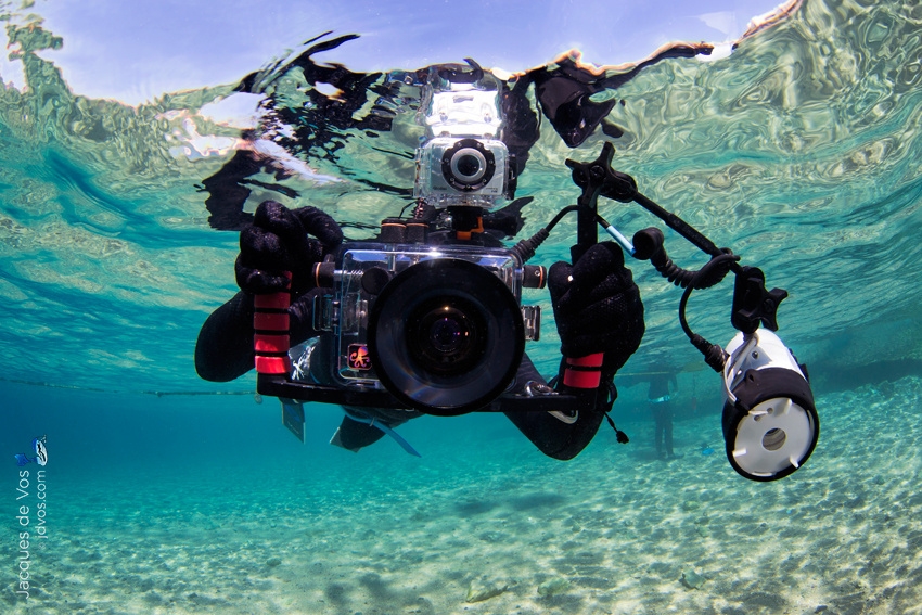 Секреты подводной фотографии. Инструкция новичку перед поездкой на море