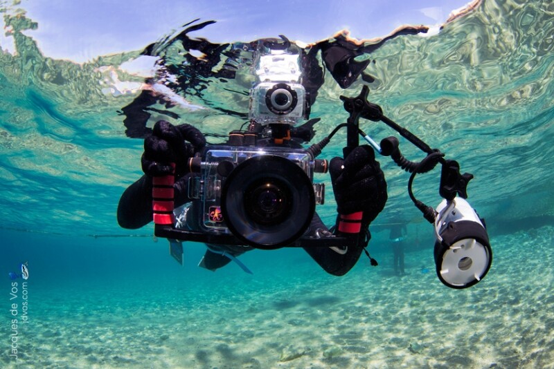 Секреты подводной фотографии. Инструкция новичку перед поездкой на море Секреты подводной фотографии. Инструкция новичку перед поездкой на море