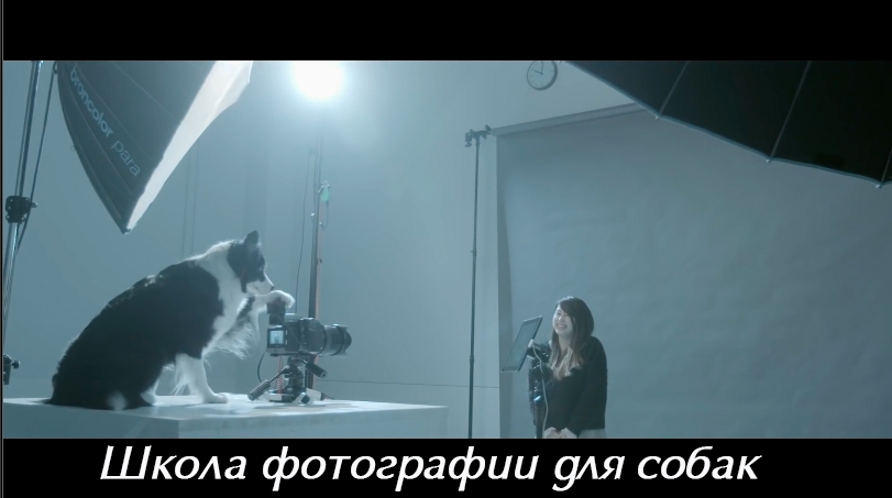 Видеозарисовка «Фотография – это искусство, доступное всем»