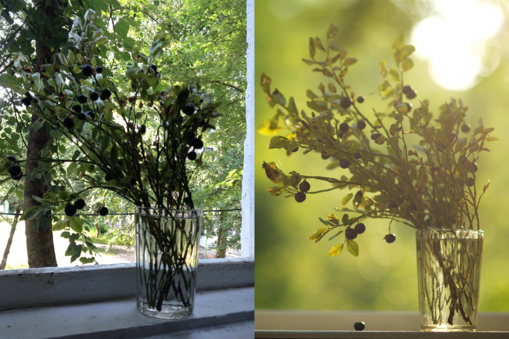 О пользе черники в работе фотографа