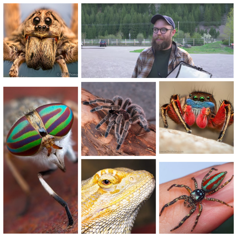 Десять советов по качественной макросъемке