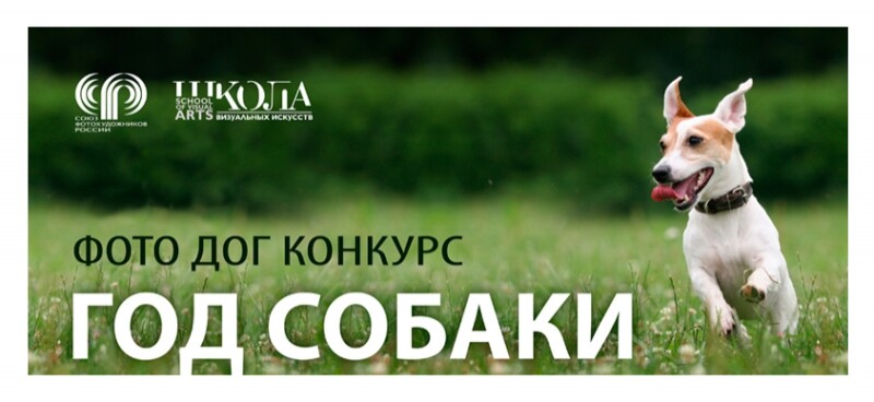 Всероссийский конкурс фотографии "Год Собаки" Всероссийский конкурс фотографии "Год Собаки"