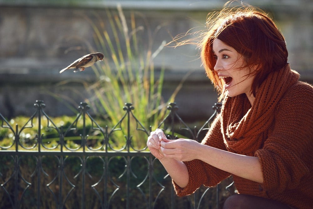 Пять советов для тех, кто хочет делать хорошие &quot;внезапные&quot; фотографии