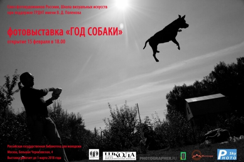 Итоговая выставка конкурса "Год Собаки" Итоговая выставка конкурса "Год Собаки"