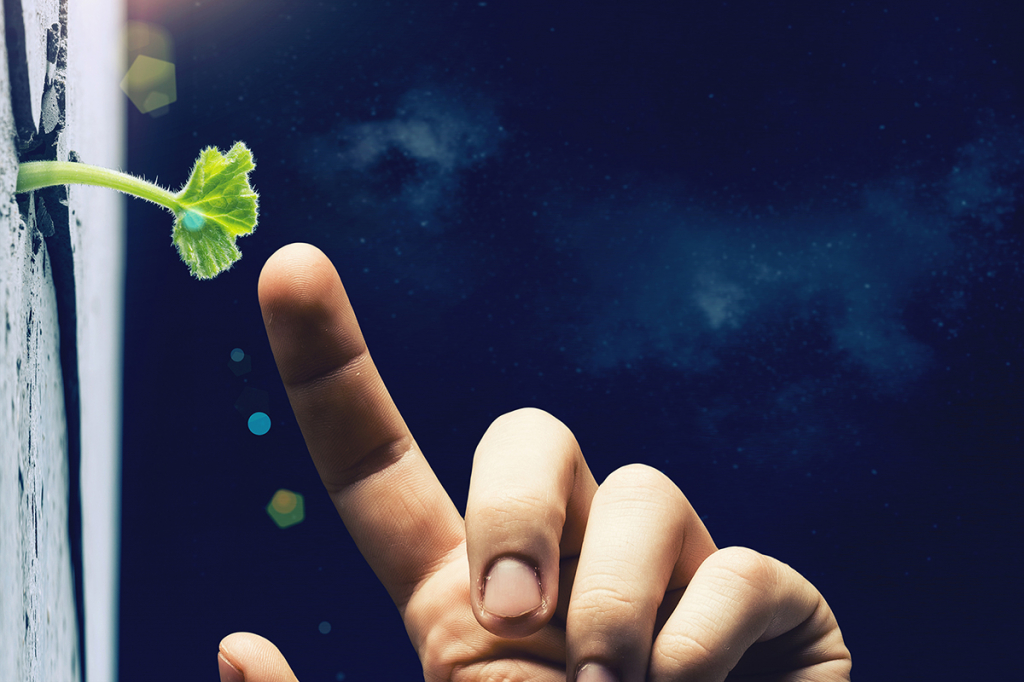 Как фотография вдохновляет любить науку и беречь планету