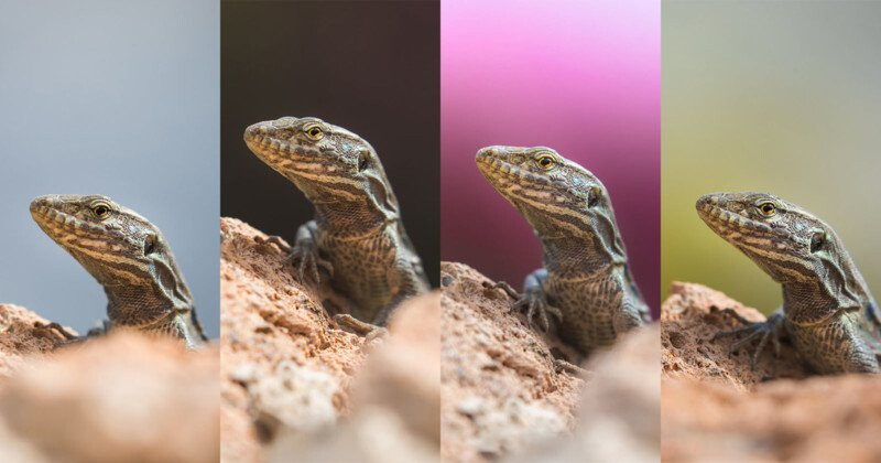 Внимание! Задний план