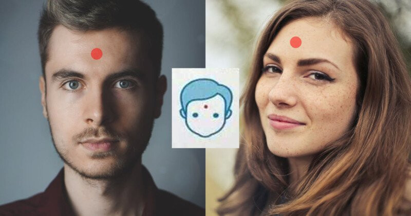 Фестиваль в Нидерландах: как просто сказать &quot;нет&quot;