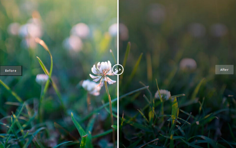 Когда использовать бленду объектива