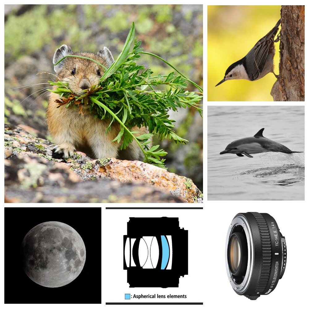 Как использовать телеконвертер