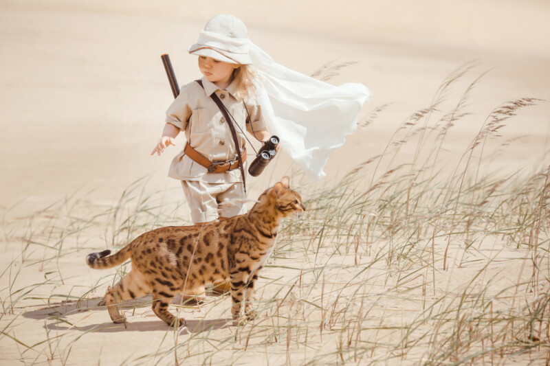 Как работать с градацией цвета для кинематографического эффекта в фотографии