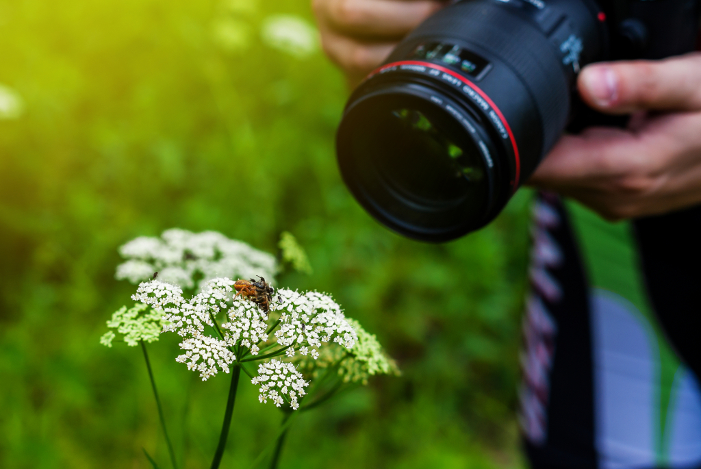 Фотогора статьи по фотографии