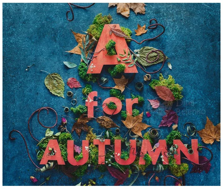 7 удивительных идей фотографии Flat Lay