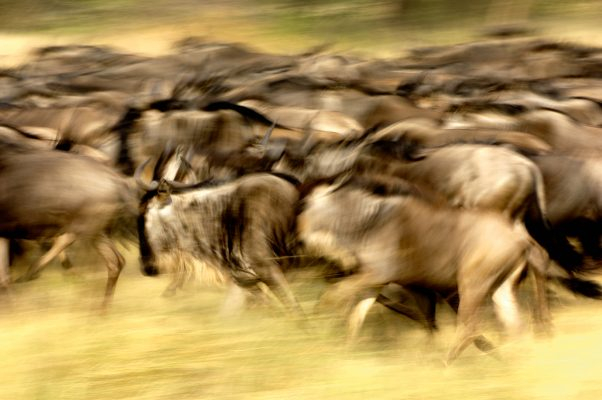 Про кинематографические приемы в фотографии
