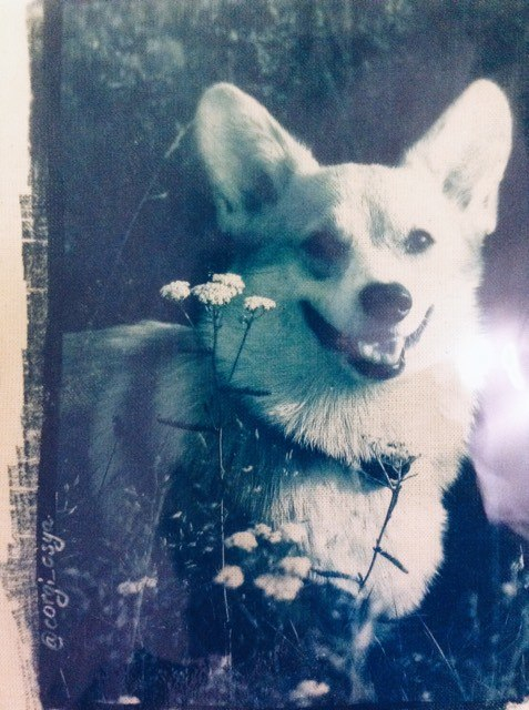 10 удивительных альтернативных процессов в фотографии