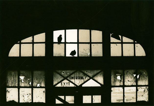 Фотолаборатория: советы по тонированию отпечатков