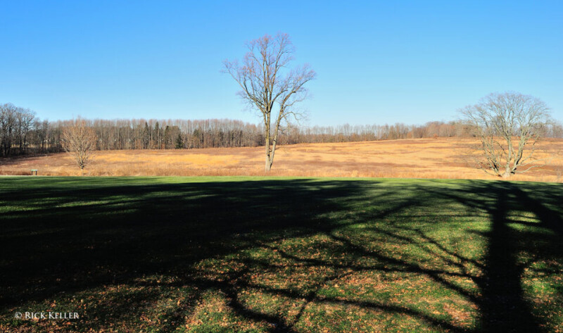 Про качество света в пейзажной съемке