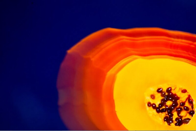 Как &quot;включить&quot; цвет в фотографии: быстрый экскурс