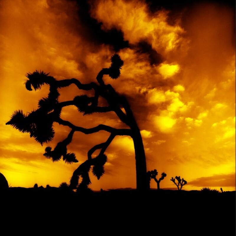 7 вещей, которые можно взять от Ван Гога для фотографии