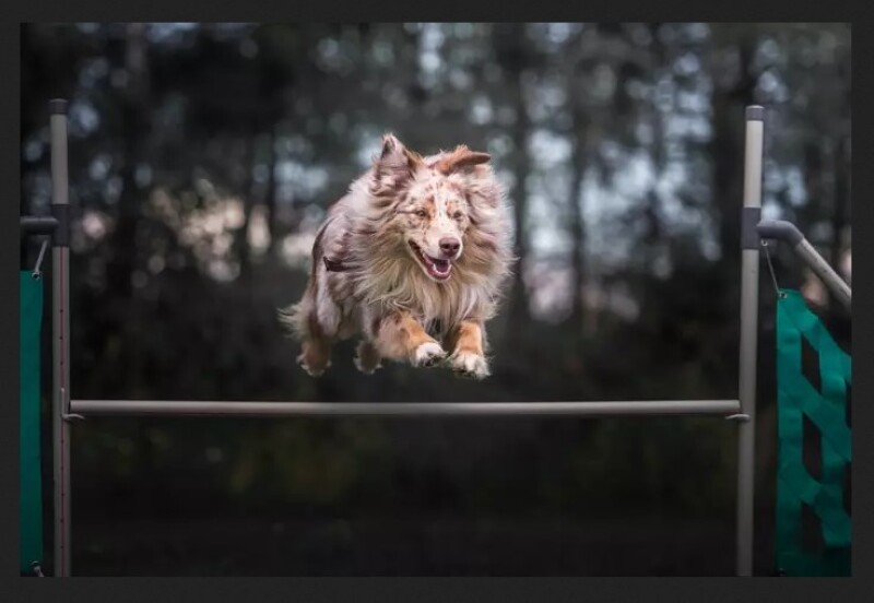 Почему фотографии получаются размытыми? 11 способов избежать этой напасти