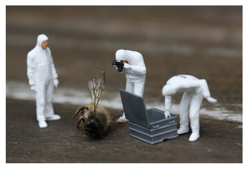 Как фотографировать игрушки. 10 креативных приемов