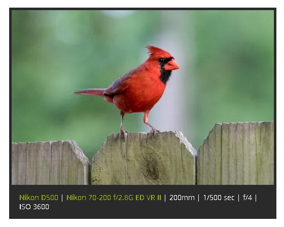 Цветокоррекция фотографии в Lightroom