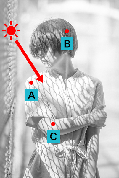 Портрет в высоком ключе с узорными тенями. Работа с естественным светом