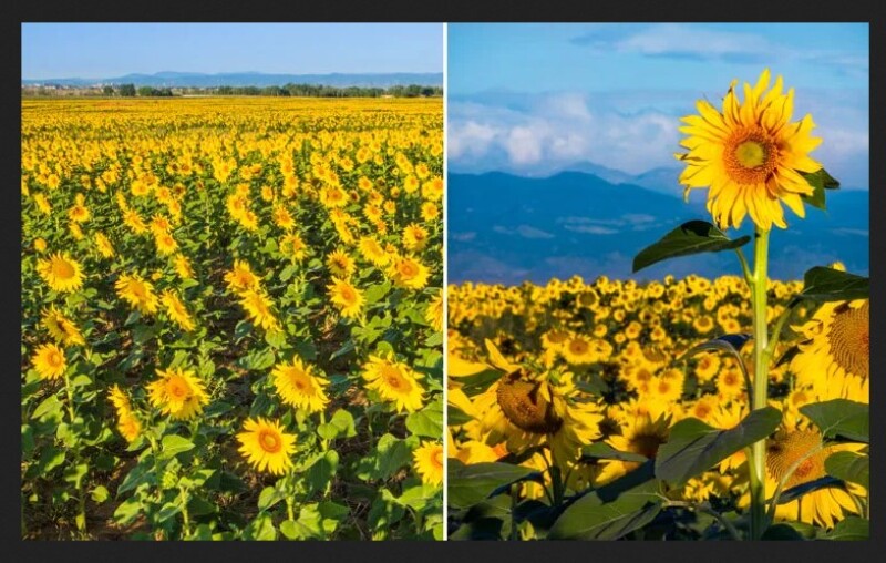 Какой выбрать объектив для пейзажной фотографии – широкоугольный или телеобъектив