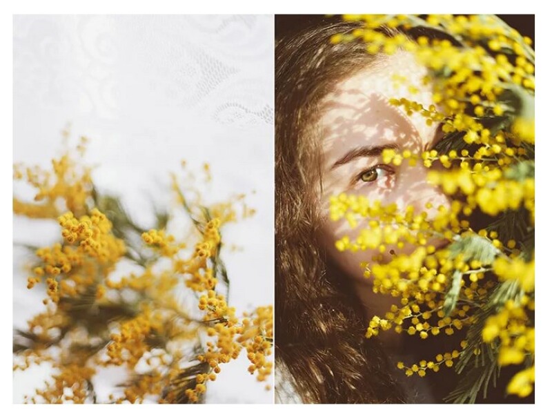 10 советов для создания диптих фотографии