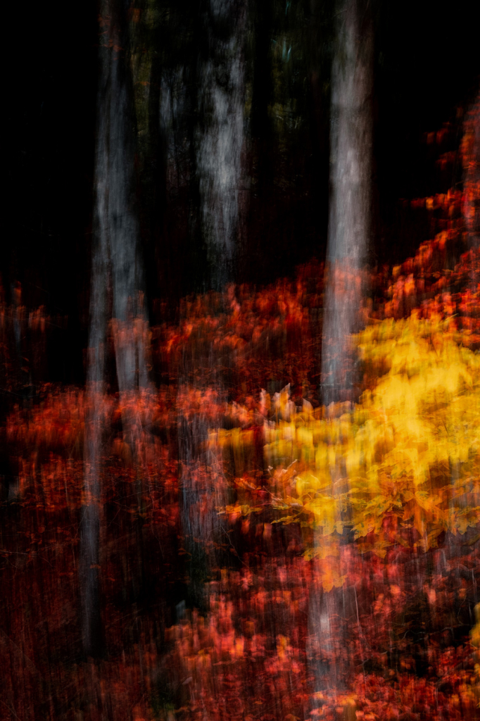 Техника ICM. Как управлять выдержкой с пользой для творчества