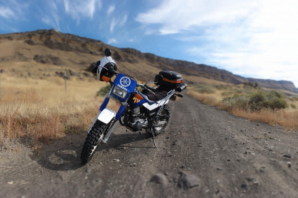 Как размыть фон в Lightroom