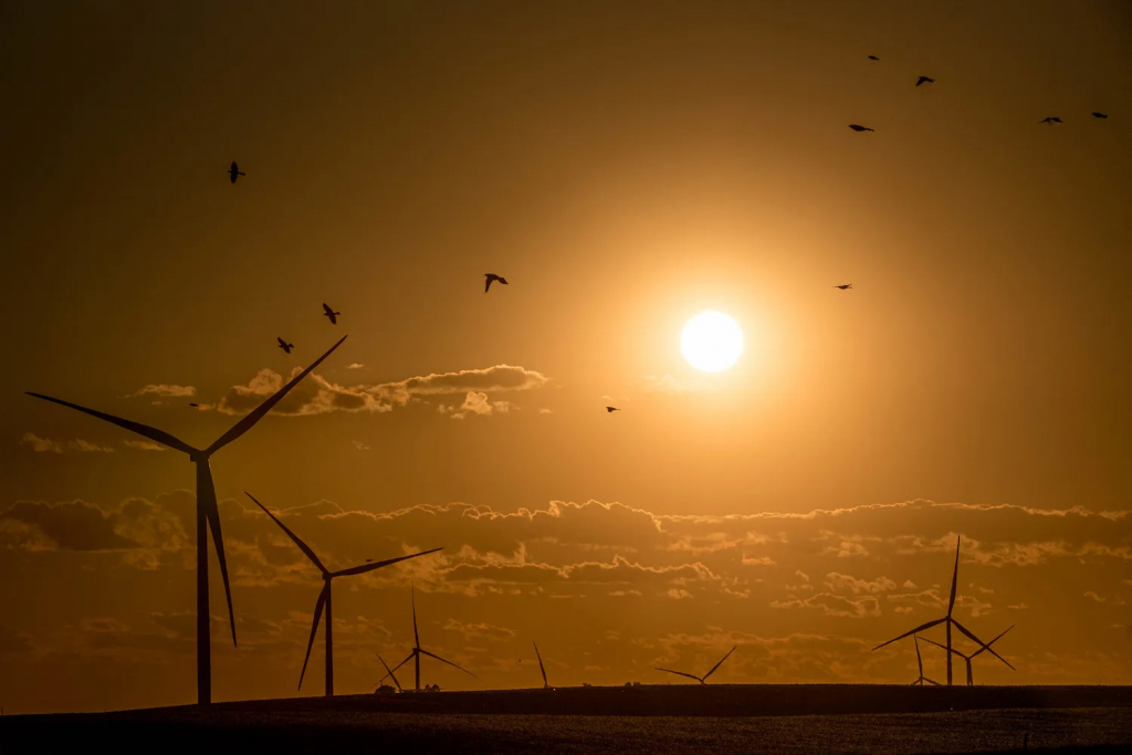 Подсветка в фотографии: полное руководство по созданию красивых изображений с задним освещением