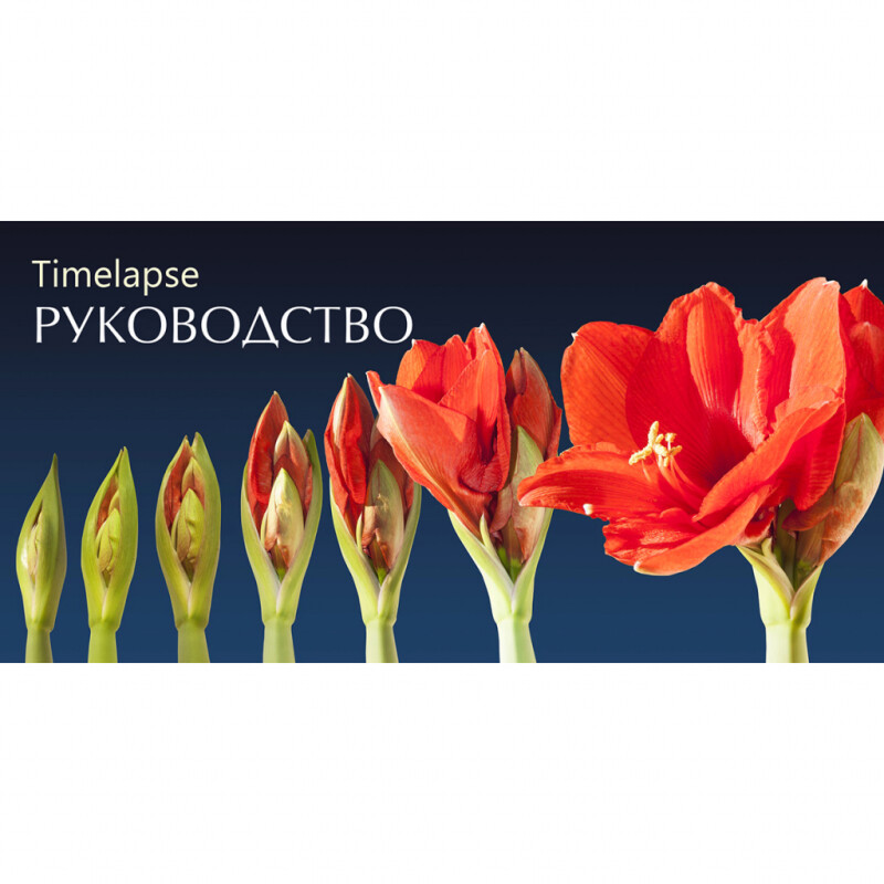 Таймлапс растений и растущего сада. Три хитрости съемки