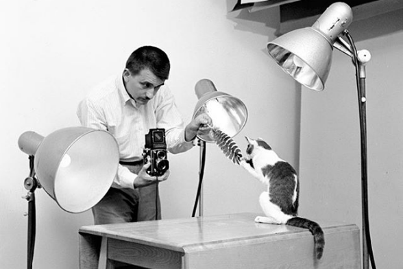 Уолтер Чандоха – кошачьих дел Маэстро