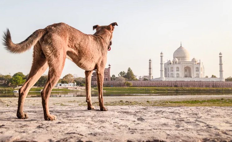Как поговорить со зрителем с помощью фотографии. 8 дельных советов
