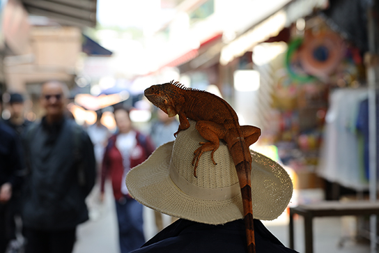 Открываем центральную композицию заново! Два упражнения для следующей фотопрогулки