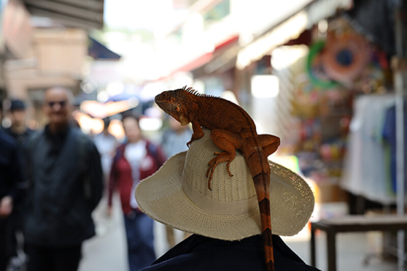Открываем центральную композицию заново! Два упражнения для следующей фотопрогулки