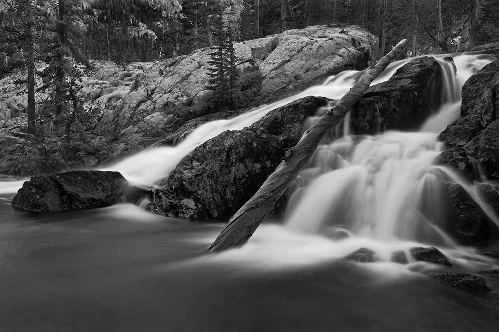 Прямая фотография. История Прямая фотография. История