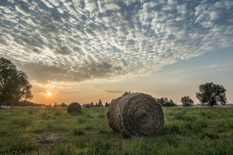 Золотой час: когда солнечный свет теплый, а фотографии волшебные Золотой час: когда солнечный свет теплый, а фотографии волшебные