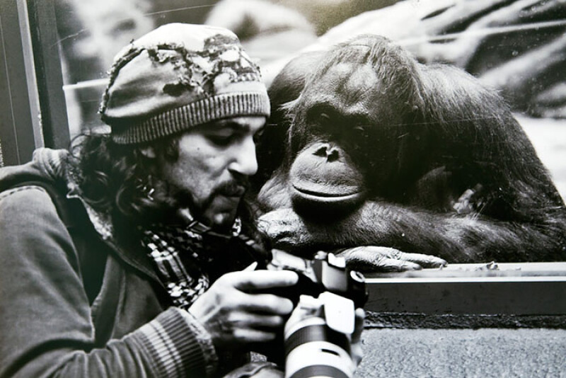 12 июля - День фотографа 12 июля - День фотографа
