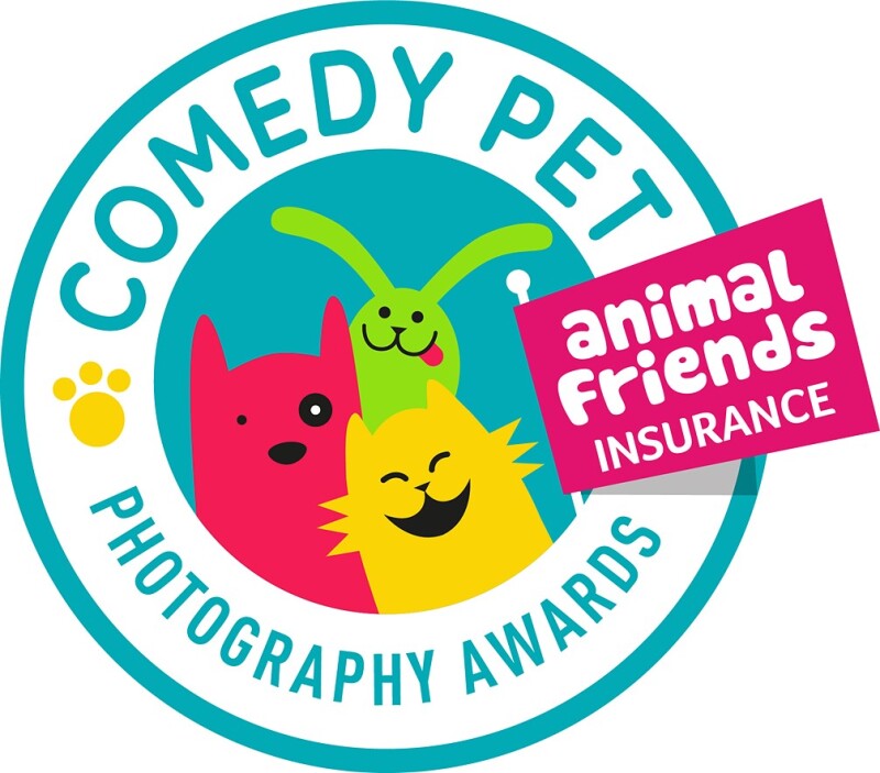Забавные фото животных от финалистов Comedy Pet Photo Awards 2022 Забавные фото животных от финалистов Comedy Pet Photo Awards 2022