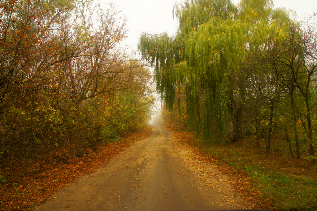 Туманные пейзажи