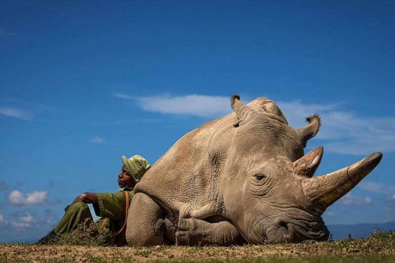Подведены итоги конкурса "Фотограф путешествий 2022" - Travel Photographer of the Year 2022 (TPOTY) Подведены итоги конкурса "Фотограф путешествий 2022" - Travel Photographer of the Year 2022 (TPOTY)