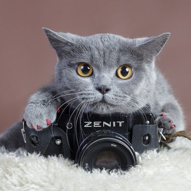 С днем фотографа!