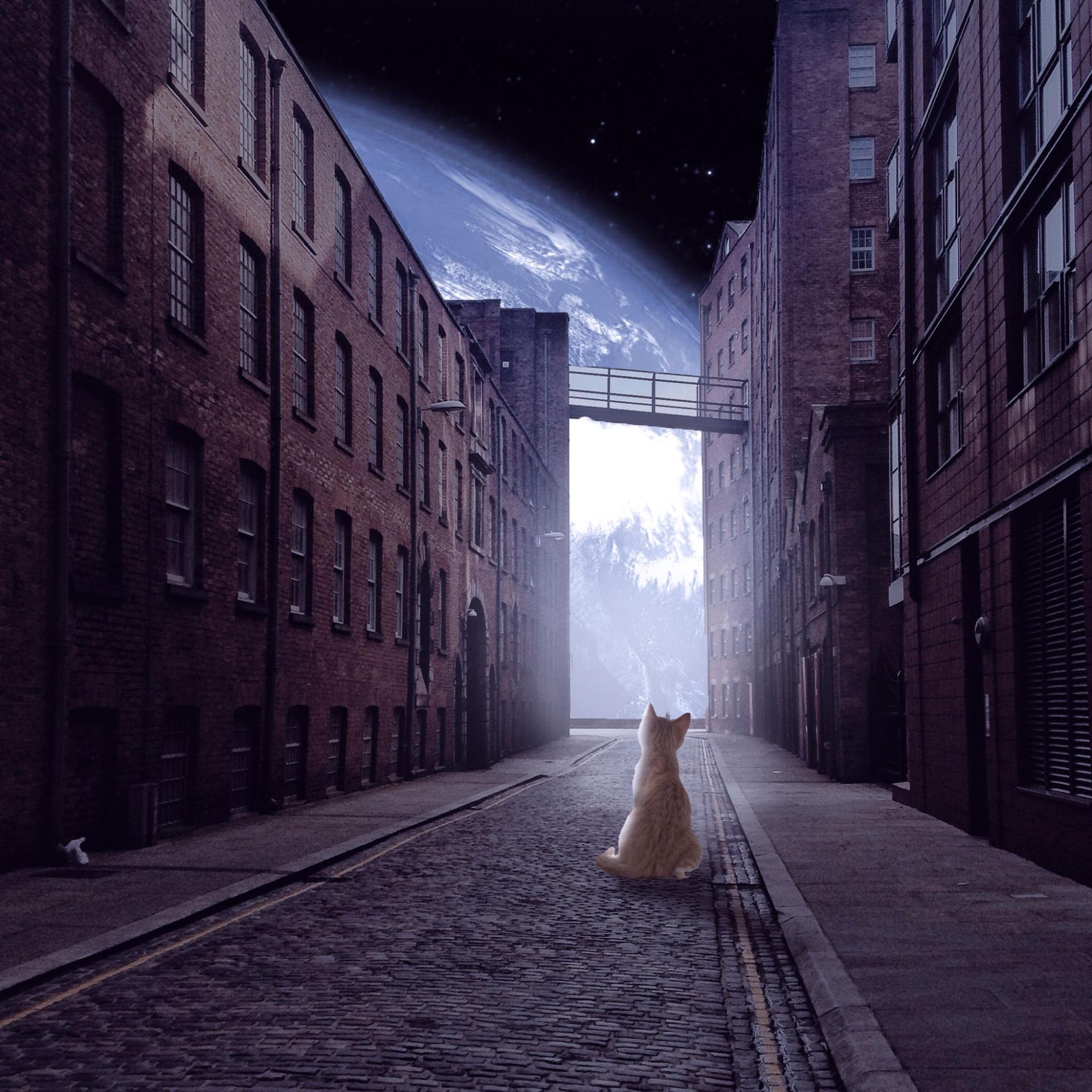 Эффектный art: фотомонтаж и фотоманипуляция – чем отличаются и как их создать