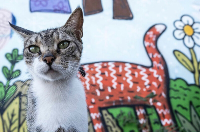 Подборка вдохновляющих стрит-фотографий