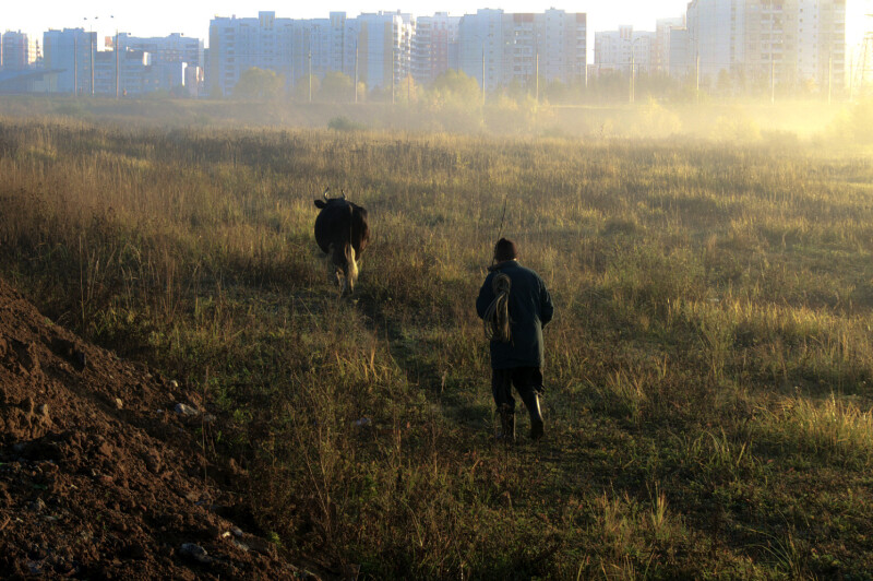 Результаты фотоконкурса &quot;В уездном городе N&quot; на foto.ru