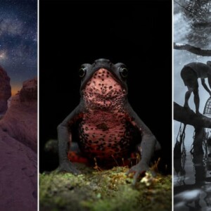 Лучшие фотографы мира: итоги этапов Sony World Photography Awards 2026