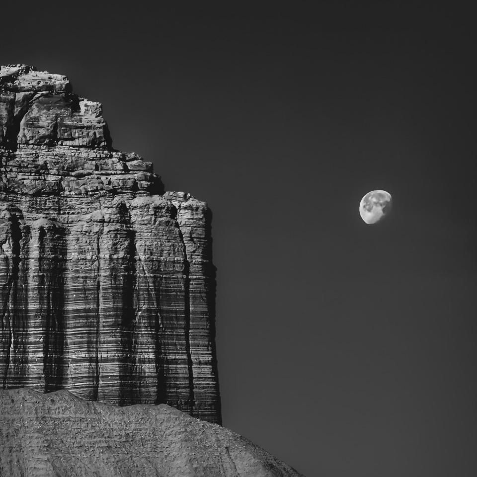Магия одного кадра: лучшие фотографии IPPAwards’2026 на iPhone