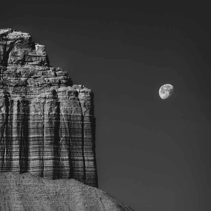 Магия одного кадра: лучшие фотографии IPPAwards’2026 на iPhone