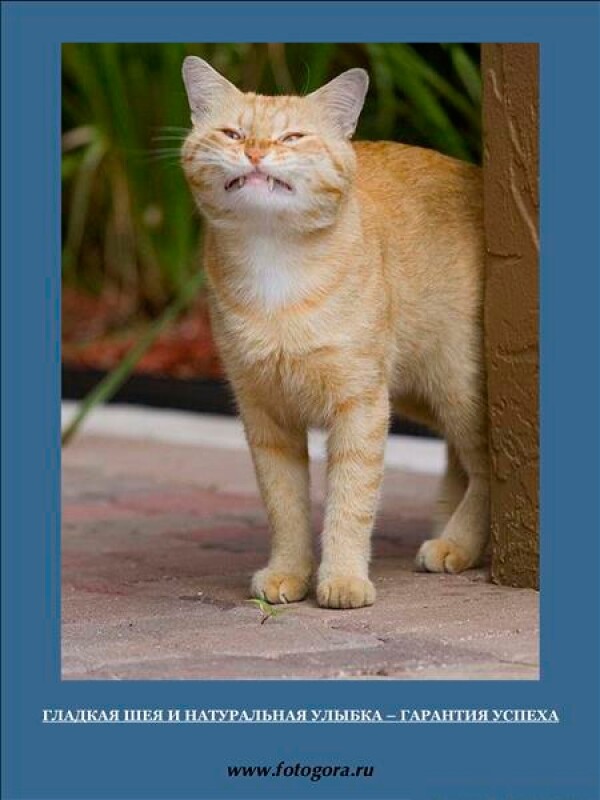 Как быть настоящим фотографом? Бессрочные истины